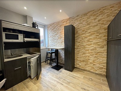 STUDIO A LOUER - ECULLY - 12.5 m2 - 631 &euro; charges comprises par mois