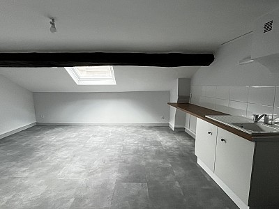 APPARTEMENT T2 A LOUER - LYON 7EME ARRONDISSEMENT - 52.62 m2 - 716 &euro; charges comprises par mois