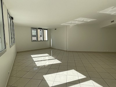 APPARTEMENT T4 A LOUER - LYON 2EME ARRONDISSEMENT Ainay - 137,85 m2 - 2200 € charges comprises par mois