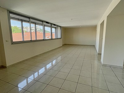 APPARTEMENT T4 A LOUER - LYON 2EME ARRONDISSEMENT Ainay - 164.27 m2 - 2445 € charges comprises par mois