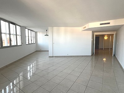 APPARTEMENT T3 A LOUER - LYON 2EME ARRONDISSEMENT Ainay - 113.45 m2 - 1631€ charges comprises par mois