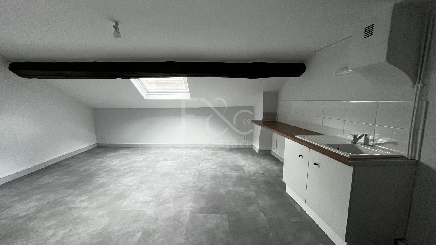 APPARTEMENT T2 A LOUER - LYON 7EME ARRONDISSEMENT - 52.62 m2 - 716 &euro; charges comprises par mois