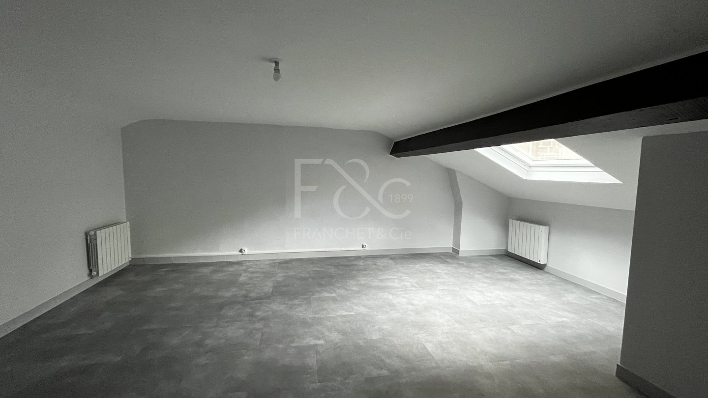 APPARTEMENT T2 A LOUER - LYON 7EME ARRONDISSEMENT - 52.62 m2 - 716 &euro; charges comprises par mois
