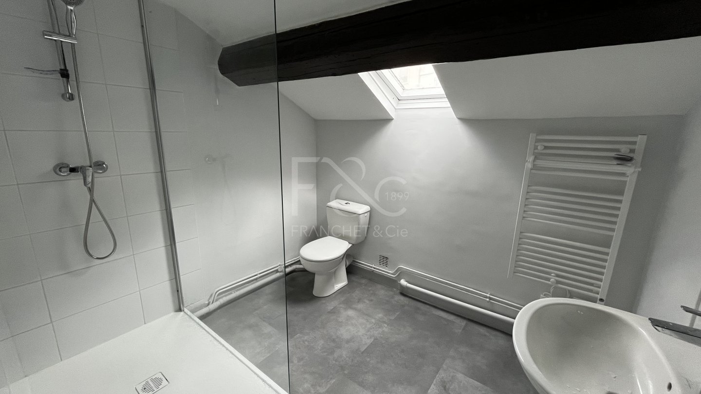 APPARTEMENT T2 A LOUER - LYON 7EME ARRONDISSEMENT - 52.62 m2 - 716 &euro; charges comprises par mois