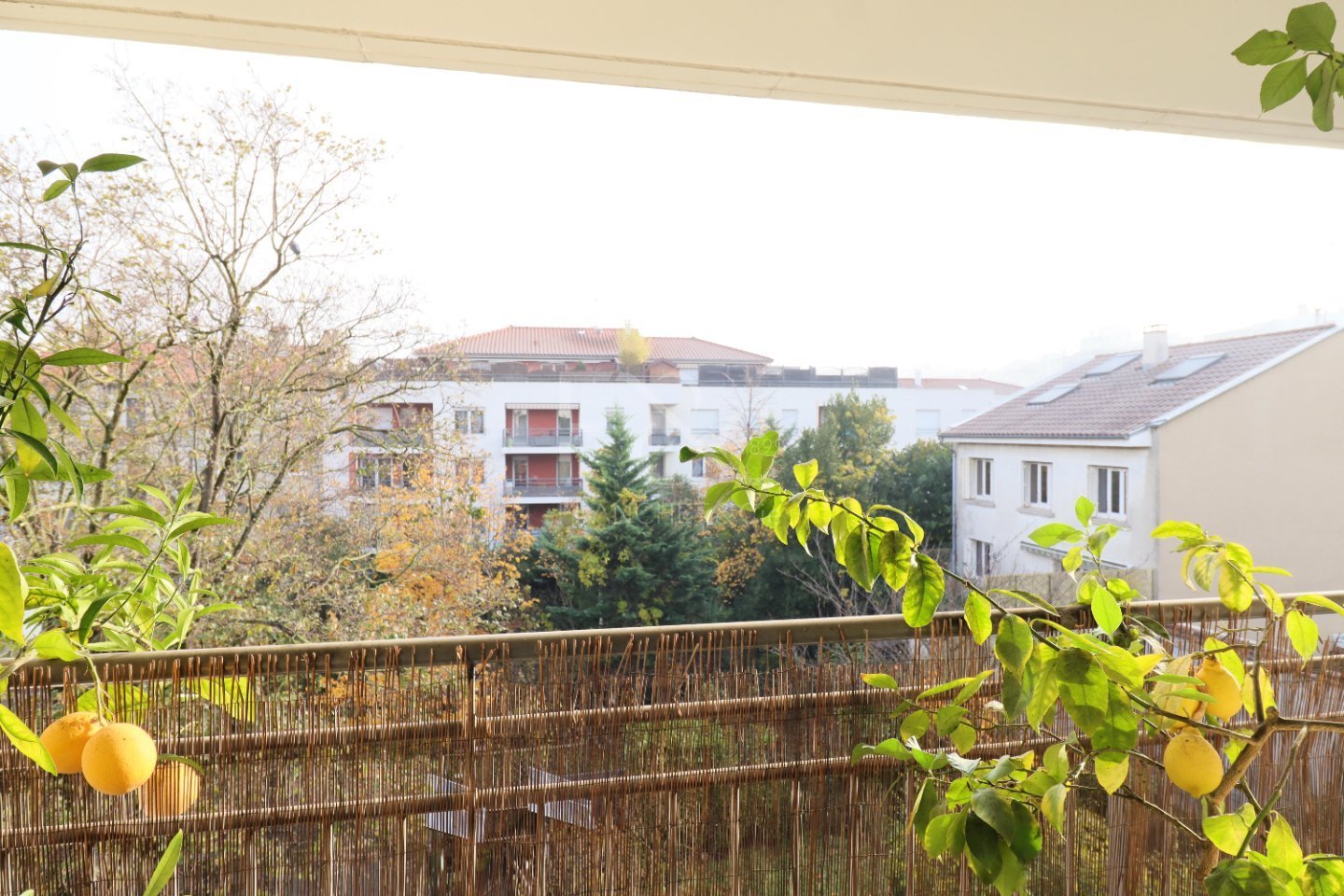 appartement - VILLEURBANNE - 75.02 m2 - VENDU